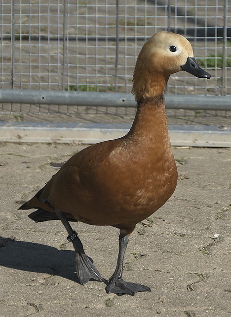 尤其是在第