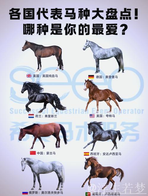 赛前探析——优良马匹与顶级马厩的完美配搭
